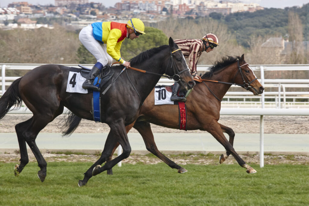 rapport des courses PMU