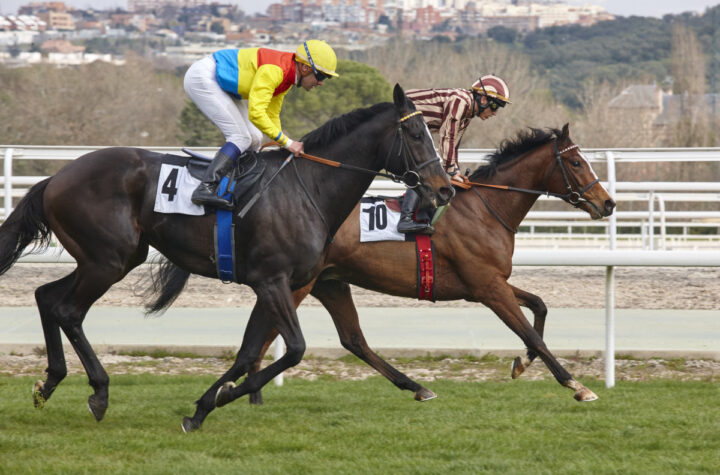 rapport des courses PMU