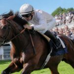 découvrez pourquoi les prix jacques le marois à deauville passionnent les amateurs de courses hippiques, alliant prestige, tradition et performances équestres exceptionnelles.